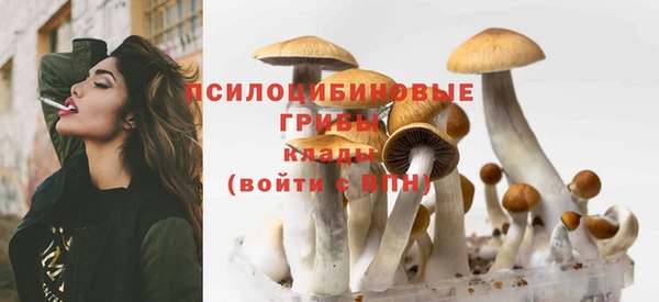 apvp Алексин