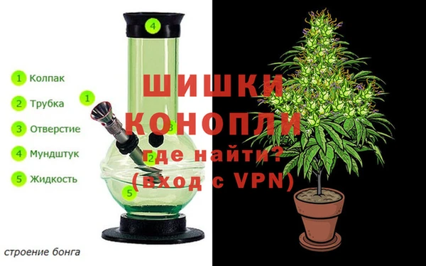 apvp Алексин