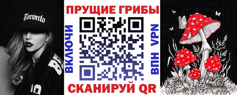 Псилоцибиновые грибы MAGIC MUSHROOMS  Бологое 